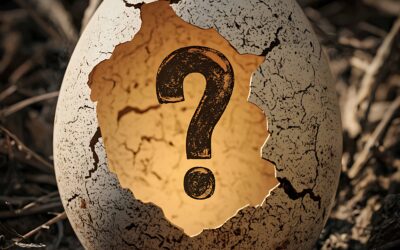 Comment se déroule un escape game Pâques ? Un escape game Pâques reprend les principes d’un escape game traditionnel, mais dans un univers inspiré de la célèbre fête printanière. Les joueurs doivent résoudre une série d’énigmes pour progresser dans une mission. Chaque indice découvert permet d’avancer dans l’histoire jusqu’à atteindre l’objectif final. Dans une version spéciale Pâques, les énigmes peuvent par exemple inclure : des œufs mystérieux contenant des indices des messages secrets cachés dans des décorations des coffres à ouvrir pour découvrir du chocolat des symboles ou des codes à décrypter Cette approche transforme la simple chasse aux œufs en véritable aventure collaborative. Les joueurs ne se contentent plus de chercher des chocolats : ils deviennent les héros d’une mission.